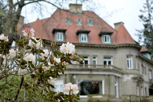 Flowers blooming at Pittock Mansion