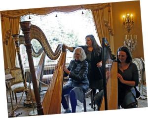 Guests exploring the harp
